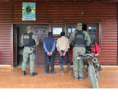 Alvear: Secuestraron 60 cabezas de ganado en un allanamiento y demoraron a dos hombres 